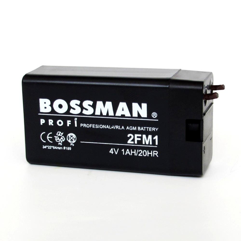 Bossman 4V1000 mAh 33*22*65 (56315779)